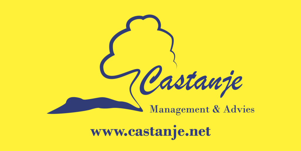 Castanje – Management & advies